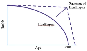 the Curve